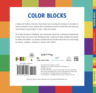 Color Blocks - back print